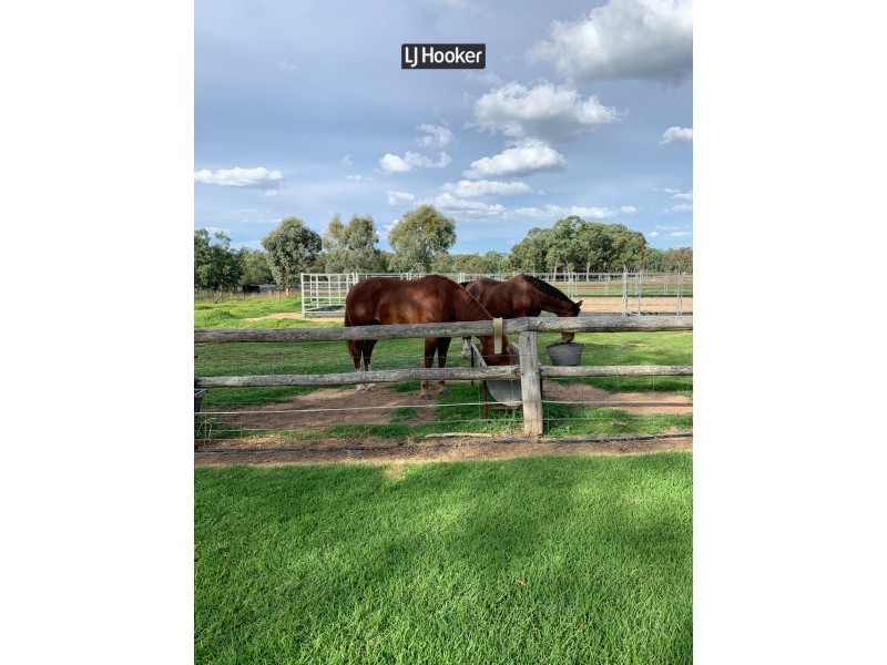 3478 Bundarra Road, Inverell NSW 2360