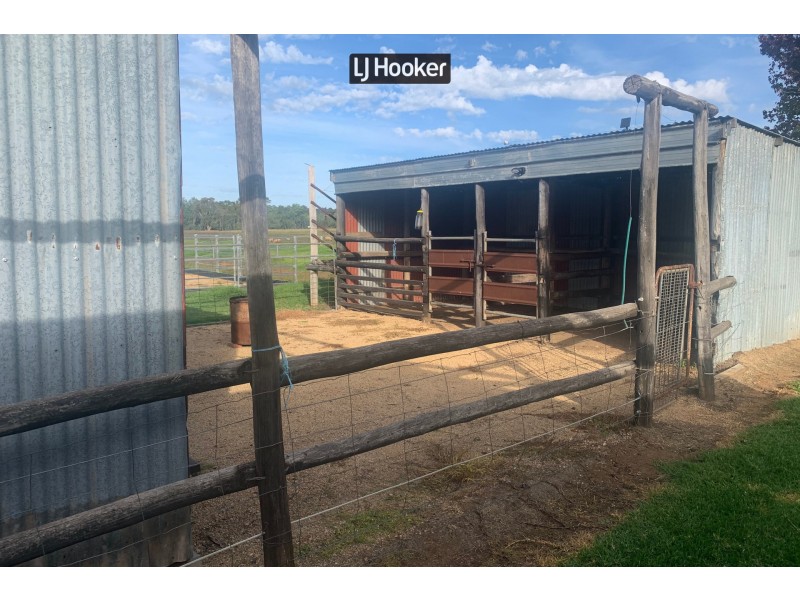 3478 Bundarra Road, Inverell NSW 2360