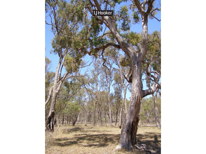 237 Long Gully Road, Inverell NSW 2360