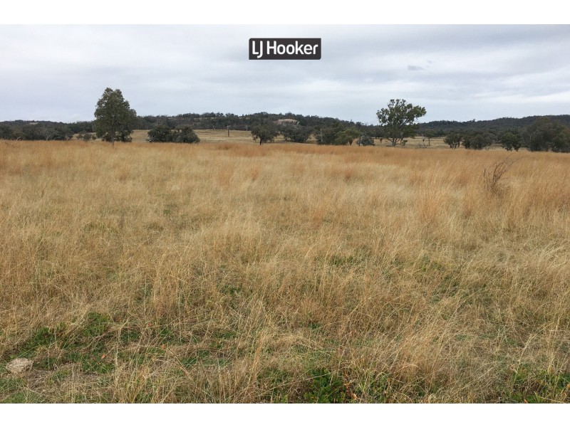 2803 Bingara Road, Inverell NSW 2360