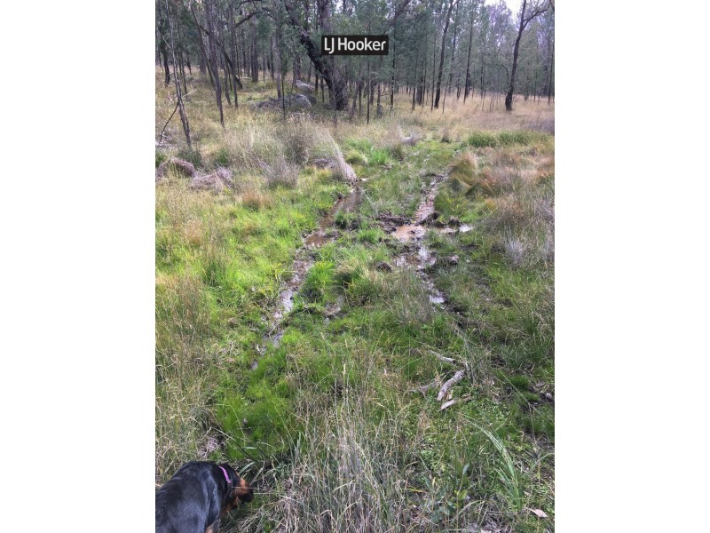 2803 Bingara Road, Inverell NSW 2360