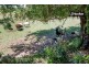 5 Delvyn Drive, Inverell NSW 2360