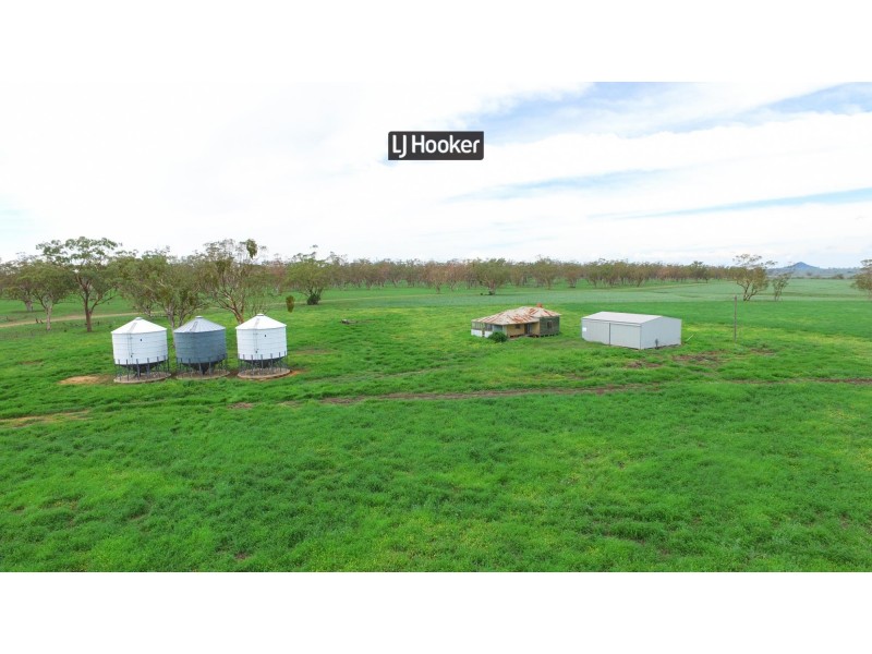 874 Gournama Road, Warialda NSW 2402