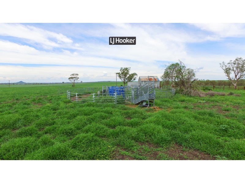 874 Gournama Road, Warialda NSW 2402