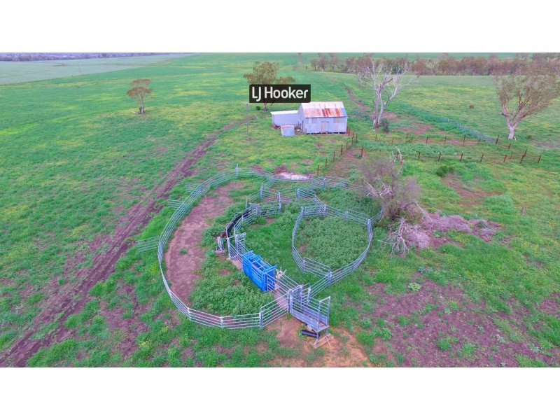 874 Gournama Road, Warialda NSW 2402
