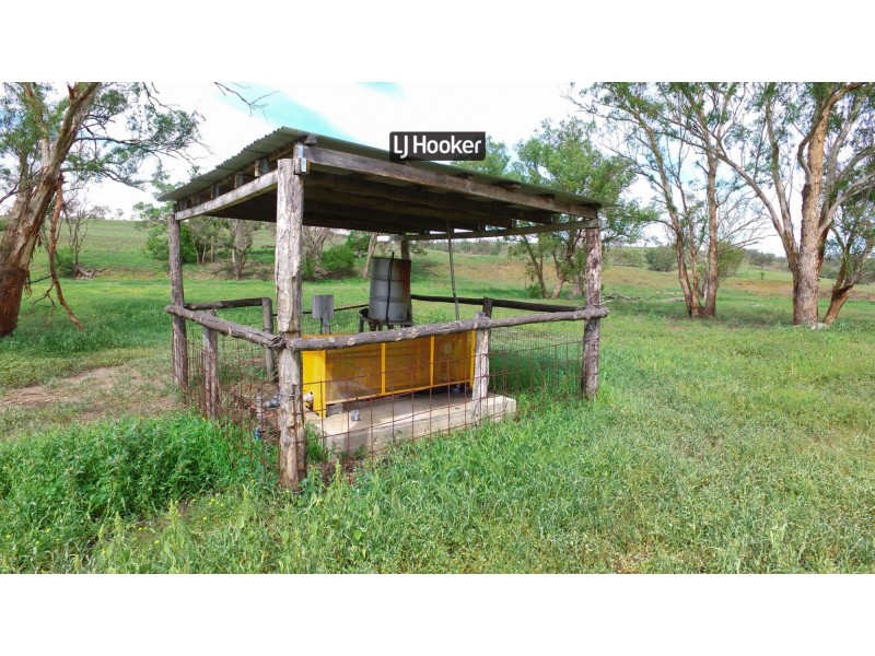 874 Gournama Road, Warialda NSW 2402