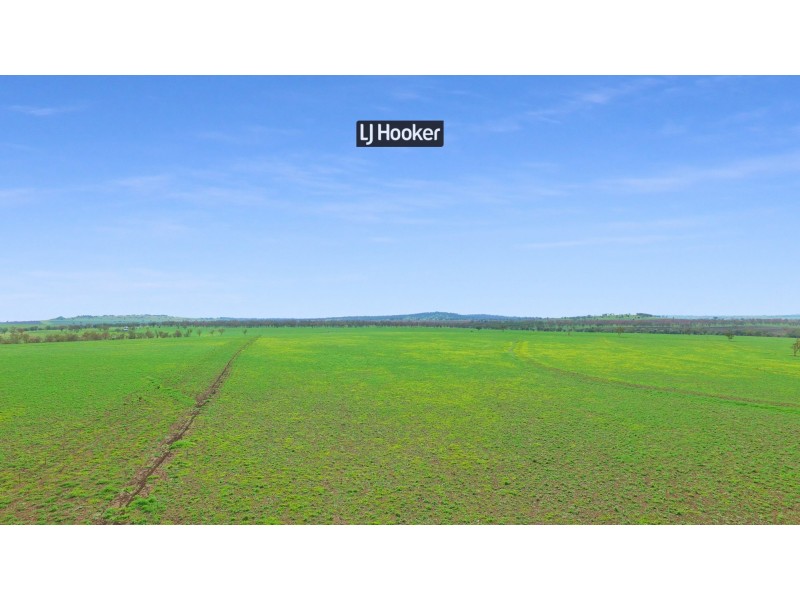 874 Gournama Road, Warialda NSW 2402