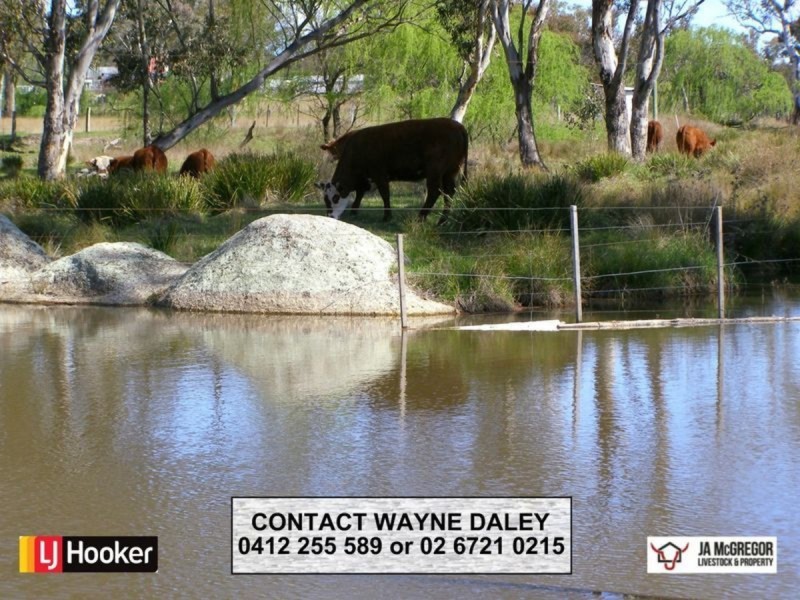 87 Haystack Road, Inverell NSW 2360