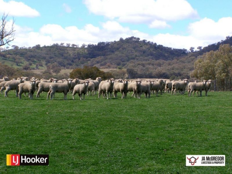 87 Haystack Road, Inverell NSW 2360