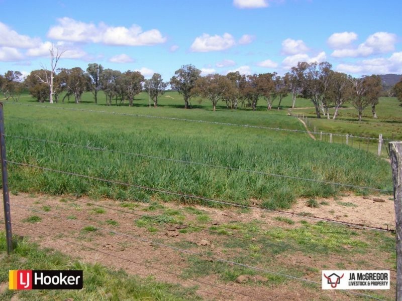 87 Haystack Road, Inverell NSW 2360