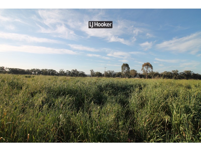 5989 Gwydir Highway, Inverell NSW 2360