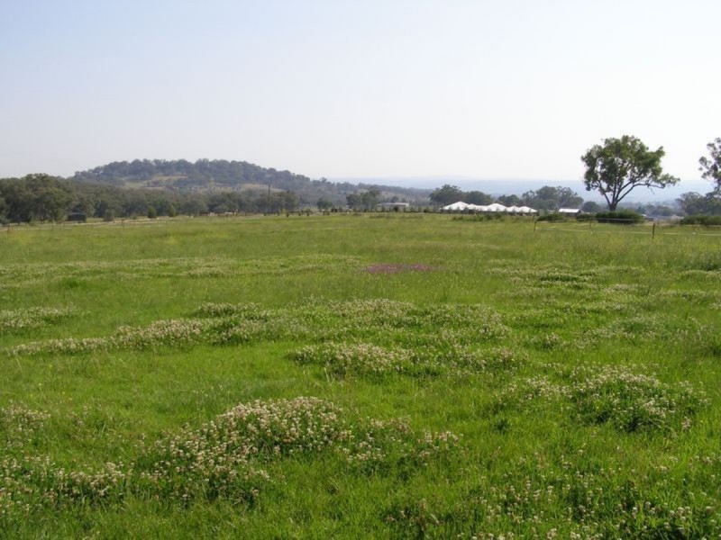 146 Roscrae Lane, Inverell NSW 2360