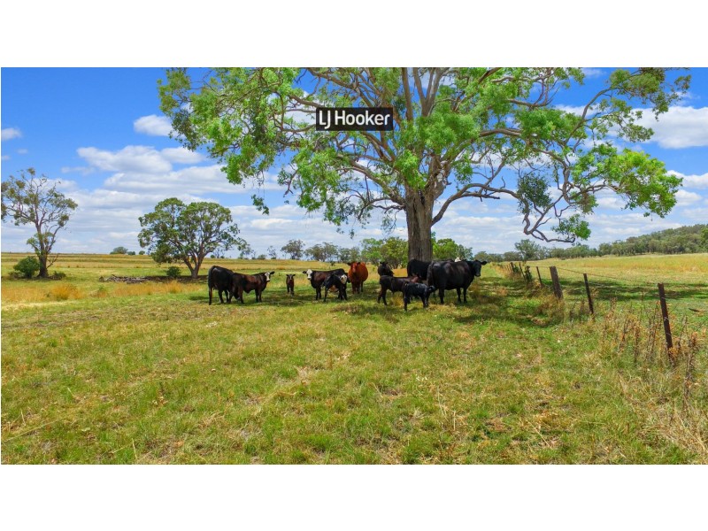 2426 Copeton Dam Road, Inverell NSW 2360