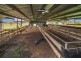 2426 Copeton Dam Road, Inverell NSW 2360
