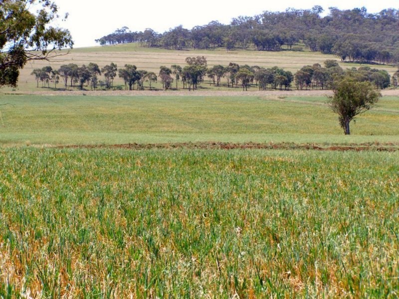 500 Morelma Road, Inverell NSW 2360