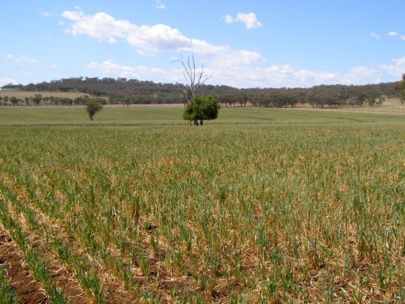 500 Morelma Road, Inverell NSW 2360