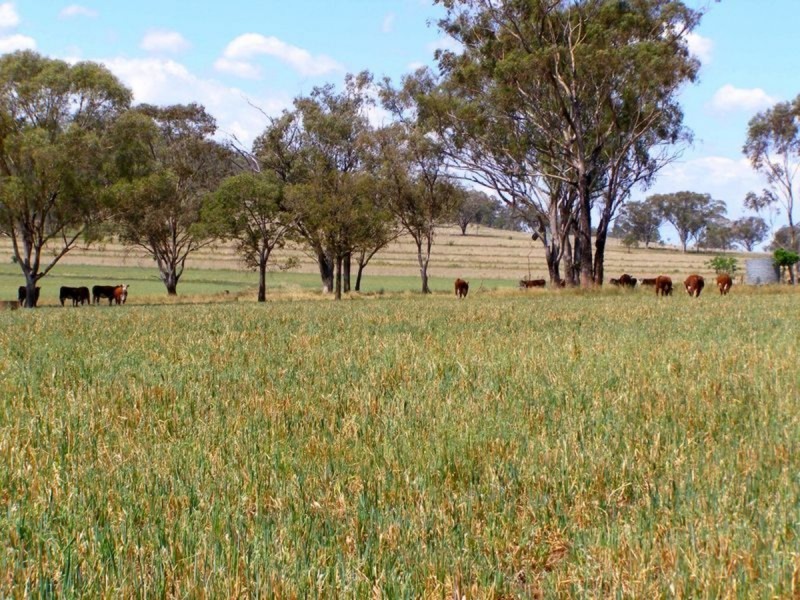 500 Morelma Road, Inverell NSW 2360