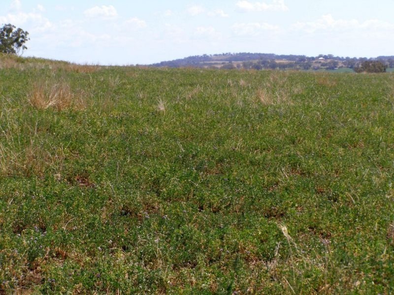 500 Morelma Road, Inverell NSW 2360