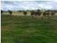 904 Sheep Station Creek Road, Inverell NSW 2360