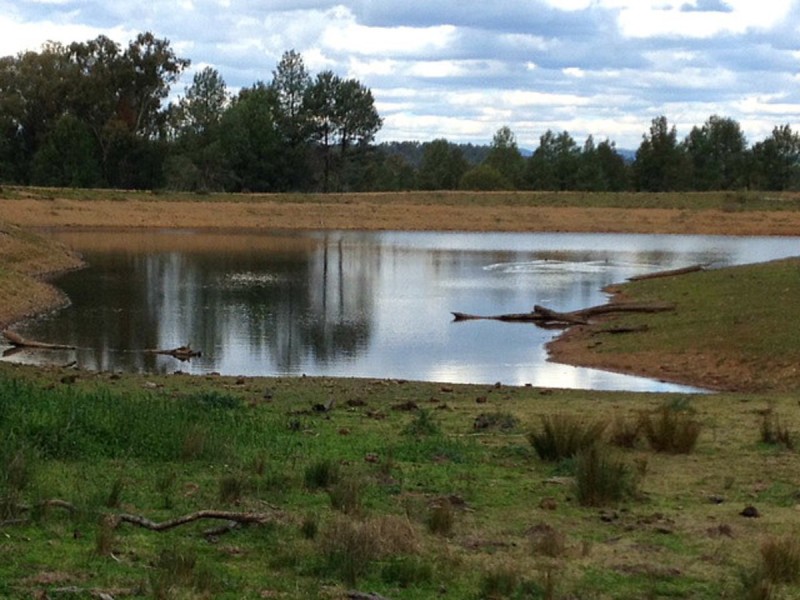 904 Sheep Station Creek Road, Inverell NSW 2360