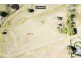Lot 11/ Oakland Lane, Inverell NSW 2360