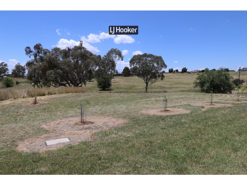 Lot 12/ Oakland Lane, Inverell NSW 2360
