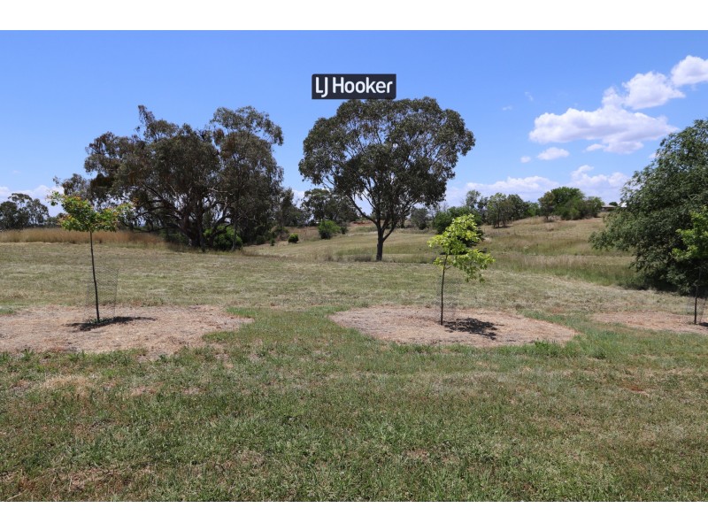 Lot 12/ Oakland Lane, Inverell NSW 2360