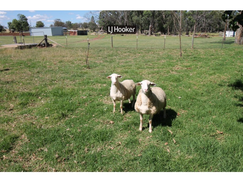 3760 Bundarra Road, Inverell NSW 2360