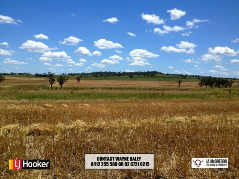 ‘Ponderosa’, Warialda NSW 2402