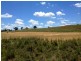 ‘Ponderosa’, Warialda NSW 2402