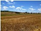 ‘Ponderosa’, Warialda NSW 2402