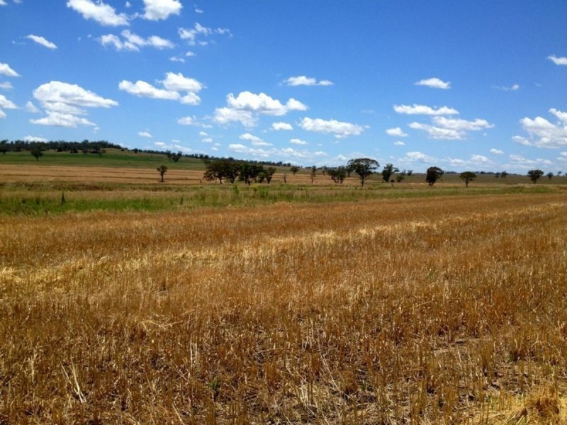 ‘Ponderosa’, Warialda NSW 2402