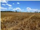 ‘Ponderosa’, Warialda NSW 2402