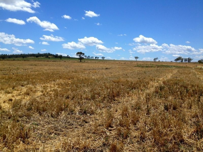 ‘Ponderosa’, Warialda NSW 2402