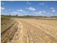 ‘Ponderosa’, Warialda NSW 2402