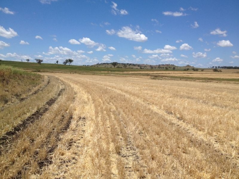 ‘Ponderosa’, Warialda NSW 2402