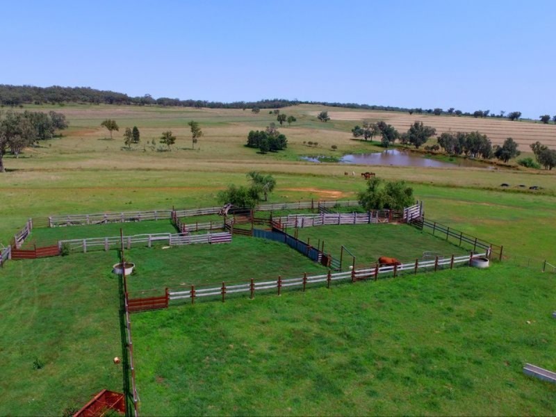 6025 Yetman Road, Inverell NSW 2360
