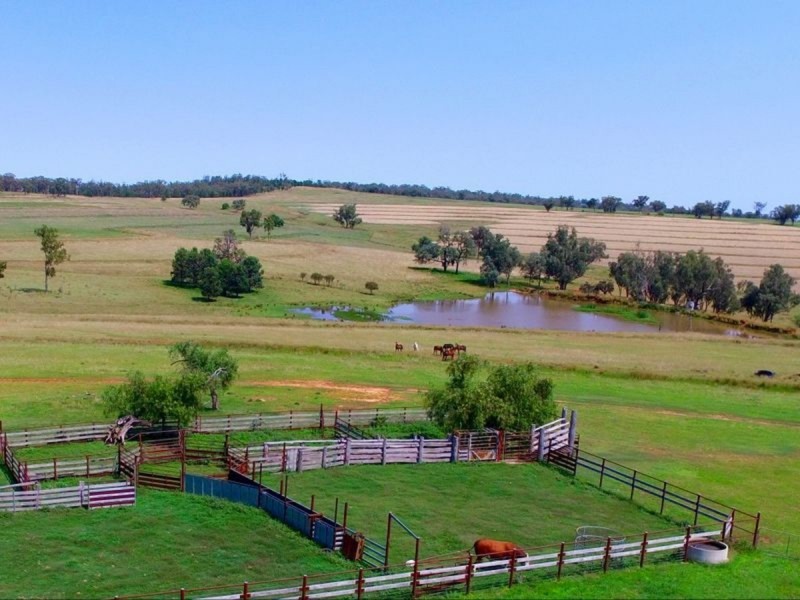 6025 Yetman Road, Inverell NSW 2360