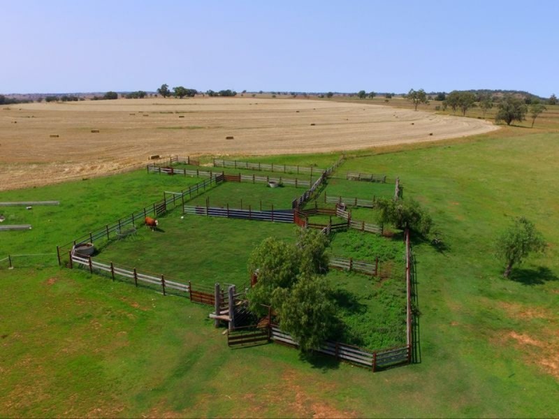 6025 Yetman Road, Inverell NSW 2360