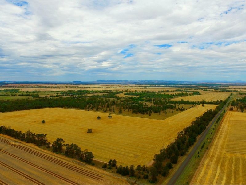 124 County Boundary Road, Pallamallawa NSW 2399