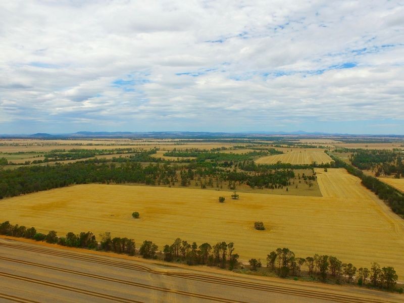 124 County Boundary Road, Pallamallawa NSW 2399