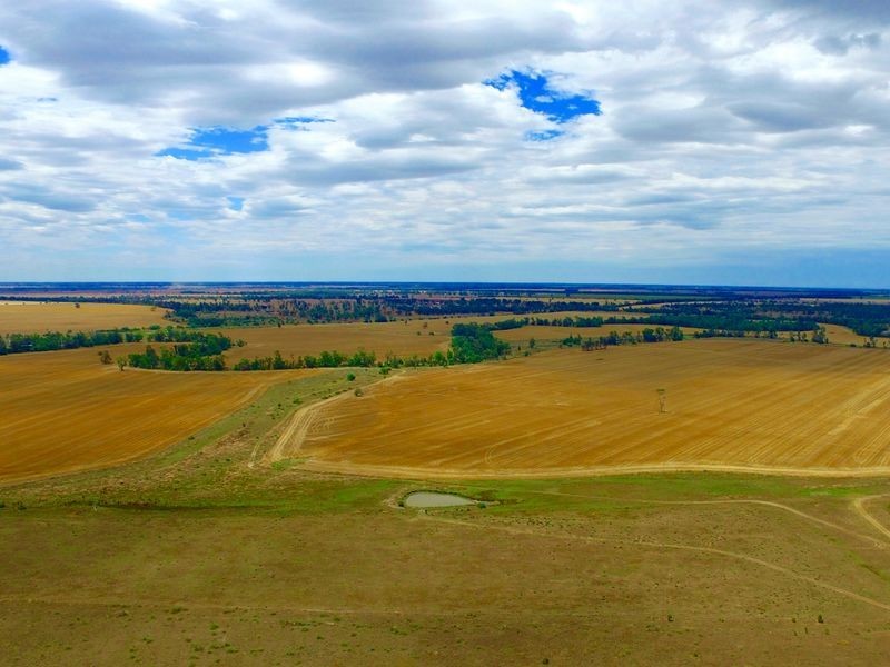 124 County Boundary Road, Pallamallawa NSW 2399