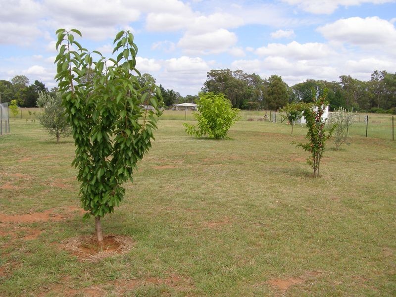 27 Airport Road, Gilgai NSW 2360