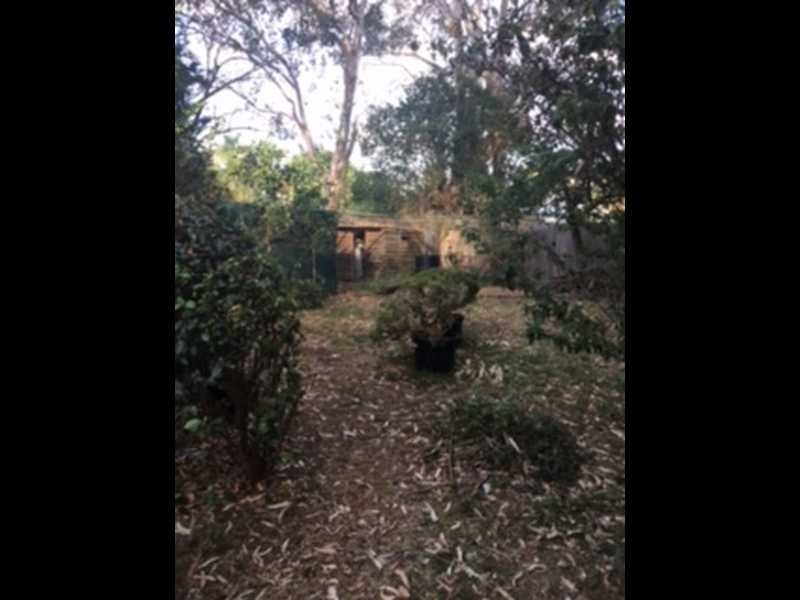 439 & 441 Wentworth Avenue, Toongabbie NSW 2146