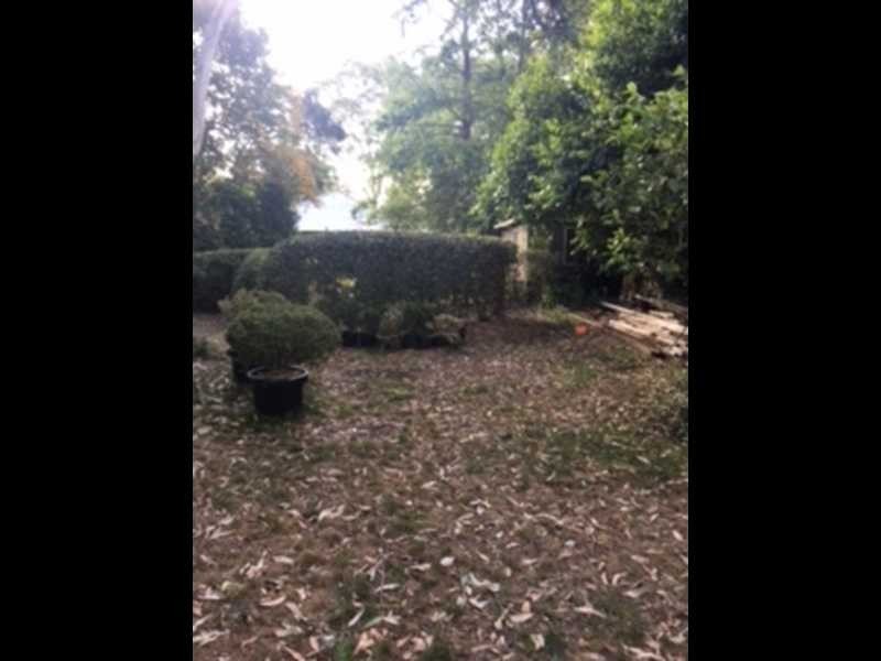 439 & 441 Wentworth Avenue, Toongabbie NSW 2146