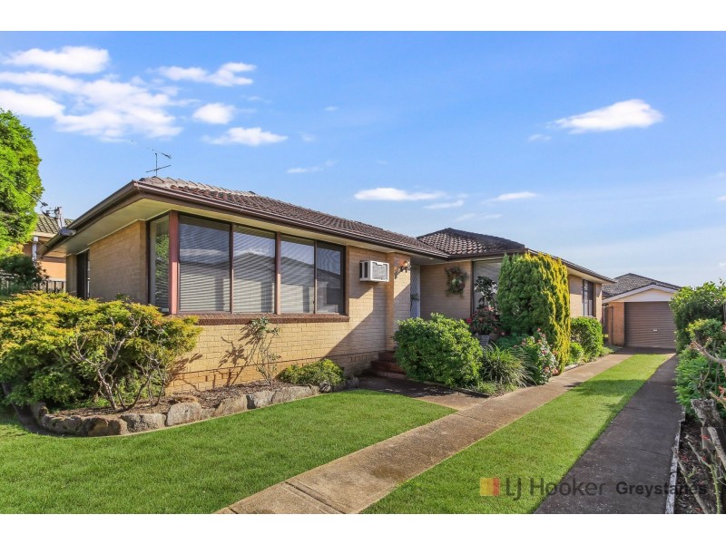 20 Roberta Street, Greystanes NSW 2145