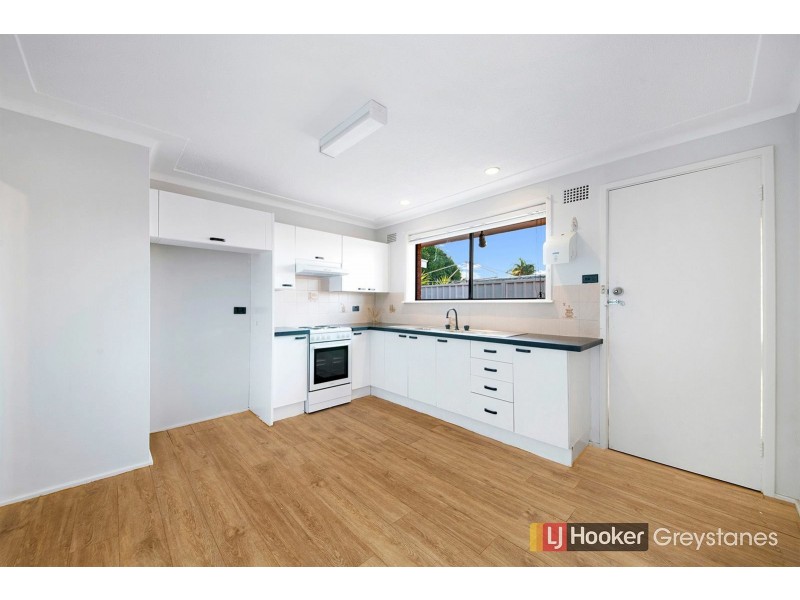 1 IAN STREET, Greystanes NSW 2145