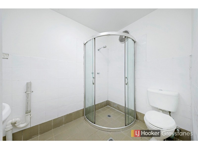 42 DAISY STREET, Greystanes NSW 2145