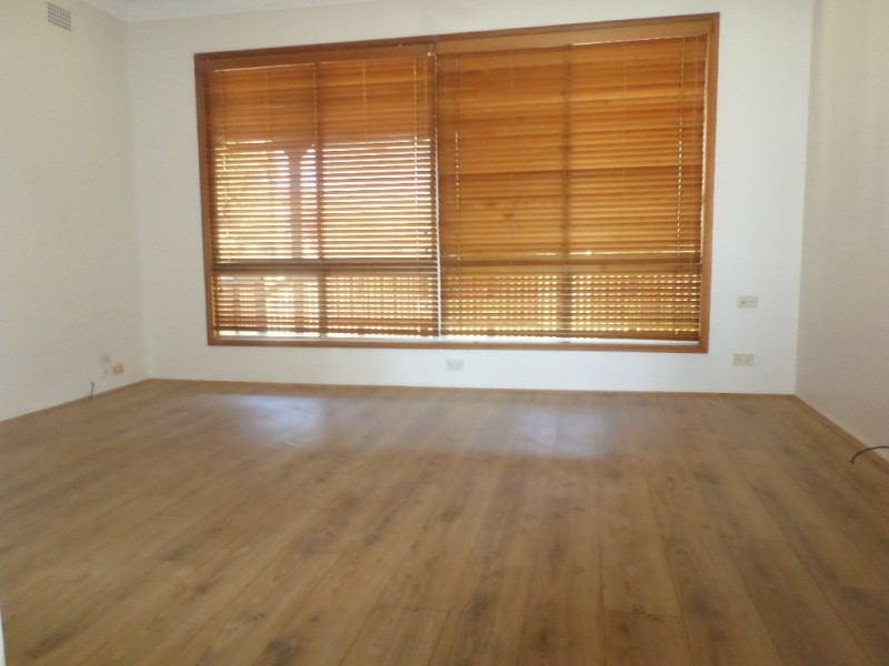 13 DAMIEN AVANUE, Greystanes NSW 2145