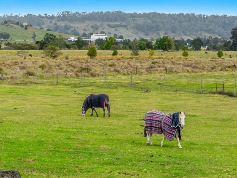 84 Gipps Road, Greystanes NSW 2145